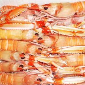 LANGOUSTINE : NEPHROPS NORVEGICUS