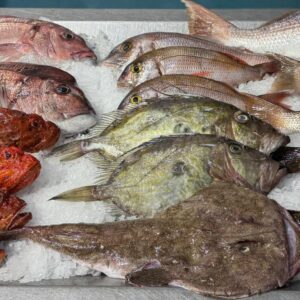 POISSONS FRAIS