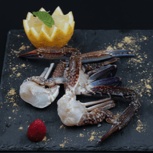 CRABE BLEU : PORTUNUS SEGNIS